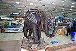 Africa;Kenia;entorno_urbano;tiendas_y_comercios;centro_comercial;elefante;elefantes;ocio;gente_compras;gente_comprando