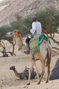 Africa;Egipto;gente;personas;nacionalidad;egipcio;Islam;islamico;musulman;musulmanes;razas_y_etnias;africano;nubio;animales;animales_domesticos;camello;cabalgar;cabalgando;Pueblo_Nubio_junto_al_Nilo