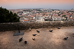 Europa;Portugal;Lisboa;monumental_e_historico;monumentos;castillos;castillo_San_Jorge;fortaleza;entorno_urbano;vista_aerea;aves;pajaros;paloma;palomas