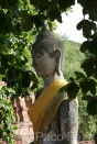 C2THA-070616.0771