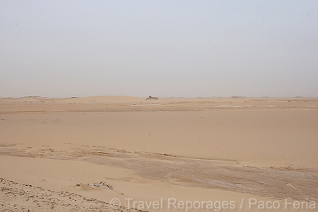 Africa;Mauritania;desierto_del_Sahara;el_Sahel;naturaleza_y_medioambiente;medioambiental;paisajes;paisajes_del_desierto