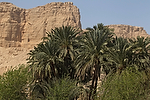 Africa;Egipto;Vistas_Abydos;naturaleza_y_medioambiente;medioambiental;paisajes;paisajes_del_desierto;palmera;palmeras;montanas;montana