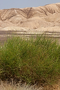 Asia;Proximo_Oriente;Israel;naturaleza_y_medioambiente;medioambiental;paisajes;paisajes_del_desierto;desierto_del_Negev;horizonte;sequia