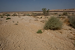 Asia;Proximo_Oriente;Israel;naturaleza_y_medioambiente;medioambiental;paisajes;paisajes_del_desierto;desierto_del_Negev;horizonte;sequia