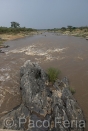 Africa;Kenia;naturaleza_y_medioambiente;medioambiental;reserva_natural;reserva_natural_Masai_Mara;Masai_Mara;masas_agua;agua;rio;rios;rio_Mara