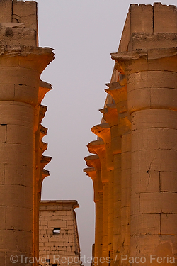 Africa;Egipto;monumental_e_historico;civilizaciones;antiguo_Egipto;monumentos_egipcios;cultura;arte;arte_antiguo;Arte_Egipcio;arquitectura;columnas;El_templo_Luxor;luz;iluminacion;noche;nocturno;vista_nocturna;de_noche;iluminacion_nocturna;nocturnas