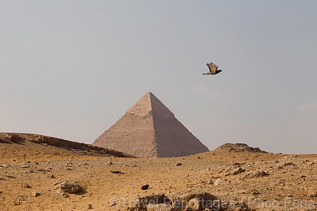 Africa;Egipto;monumental_e_historico;civilizaciones;antiguo_Egipto;monumentos_egipcios;cultura;arte;arte_antiguo;Arte_Egipcio;monumentos;piramide;Vistas_Giza_grandes_piramides