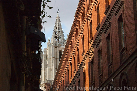 Europa;Espana;Castilla_y_Leon;Leon;monumental_e_historico;edificios_religiosos;catedrales;catedral;catedral_gotica;Santa_Maria_Regla;pulchra_leonina;puesta_Sol;atardecer;ocaso;colores;color;color_dominante;color_dorado;luz_dorada