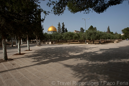 Asia;Proximo_Oriente;Israel;monumental_e_historico;ciudades_historicas;Jerusalen;lugares_historicos;Explanada_mezquitas;Monte_del_Templo