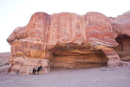 Asia;Proximo_Oriente;Jordania;monumental_e_historico;ciudades_historicas;Petra;ruinas_arqueologicas;arqueologia;restos_arqueologicos;civilizaciones;Nabateos;montanas;montana;naturaleza_y_medioambiente;medioambiental;paisajes;roca;rocas;colores;color;color_dominante;color_rojo