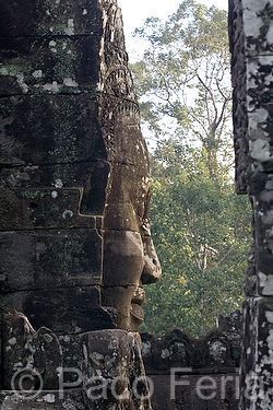 Asia;Camboya;Sudeste_Asiatico;cultura;ritos_y_creencias;religiones;religion;Budismo;monumental_e_historico;monumentos;civilizaciones;Khmer;Jemer;edificios_religiosos;templo;templos;Budista;tropico;zonas_tropicales;templos_Angkor;El_Bayon;figuras_en_relieve;relieves;civilizacion_Jemer;monumentos_en_ruinas;ruinas_arqueologicas