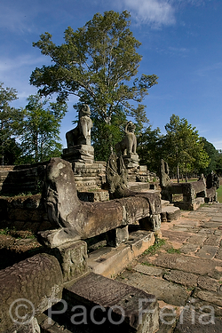 Asia;Camboya;Sudeste_Asiatico;cultura;ritos_y_creencias;religiones;religion;Budismo;monumental_e_historico;monumentos;civilizaciones;Khmer;Jemer;edificios_religiosos;templo;templos;Budista;tropico;zonas_tropicales;templos_Angkor;Sras_Srang;civilizacion_Jemer;monumentos_en_ruinas;ruinas_arqueologicas