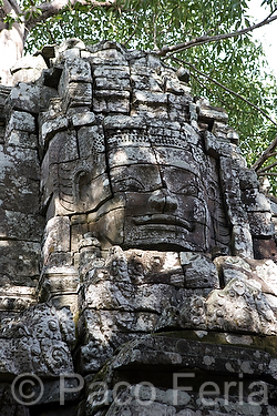 Asia;Camboya;Sudeste_Asiatico;cultura;ritos_y_creencias;religiones;religion;Budismo;monumental_e_historico;monumentos;civilizaciones;Khmer;Jemer;edificios_religiosos;templo;templos;Budista;tropico;zonas_tropicales;templos_Angkor;Ta_Som;civilizacion_Jemer;monumentos_en_ruinas;ruinas_arqueologicas