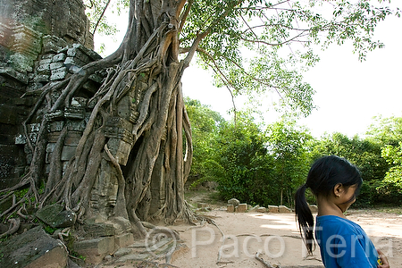 Asia;Camboya;Sudeste_Asiatico;cultura;ritos_y_creencias;religiones;religion;Budismo;monumental_e_historico;monumentos;civilizaciones;Khmer;Jemer;edificios_religiosos;templo;templos;Budista;tropico;zonas_tropicales;templos_Angkor;Ta_Som;figuras_en_relieve;relieves;templos_en_selva;templos_cubiertos_por_selva;civilizacion_Jemer;monumentos_en_ruinas;ruinas_arqueologicas