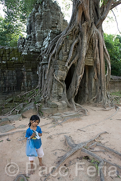 Asia;Camboya;Sudeste_Asiatico;cultura;ritos_y_creencias;religiones;religion;Budismo;monumental_e_historico;monumentos;civilizaciones;Khmer;Jemer;edificios_religiosos;templo;templos;Budista;tropico;zonas_tropicales;templos_Angkor;Ta_Som;figuras_en_relieve;relieves;templos_en_selva;templos_cubiertos_por_selva;civilizacion_Jemer;monumentos_en_ruinas;ruinas_arqueologicas