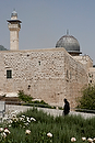 Asia;Proximo_Oriente;Israel;monumental_e_historico;ciudades_historicas;Jerusalen;edificios_religiosos;mezquita;mezquita_Al_Aqsa;gente;personas;sociedad;razas_y_etnias;Judio;judaismo