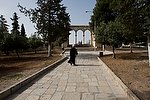 Asia;Proximo_Oriente;Israel;monumental_e_historico;ciudades_historicas;Jerusalen;lugares_historicos;Explanada_mezquitas;Monte_del_Templo