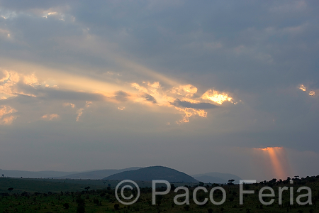 Africa;Kenia;naturaleza_y_medioambiente;medioambiental;reserva_natural;reserva_natural_Masai_Mara;Masai_Mara;paisajes;salida_del_Sol;al_alba;amanecer;luz_dramatica;brillo;brillante;rayos_Sol;soledad;solitario