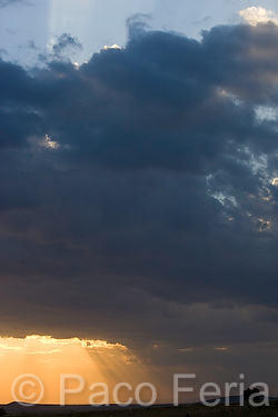Africa;Kenia;naturaleza_y_medioambiente;medioambiental;reserva_natural;reserva_natural_Masai_Mara;Masai_Mara;paisajes;puesta_Sol;atardecer;ocaso;luz_dramatica;brillo;brillante;rayos_Sol;paisaje_con_nubes;nubes;nublado;climatologia;clima;cielo;nubes_blancas;cumulos