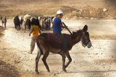 Young Palestinian sheperd, Jericho, Palestinian territories