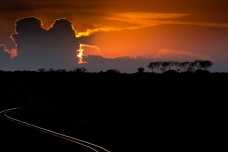 Tsavo NP railroad rails, Kenya