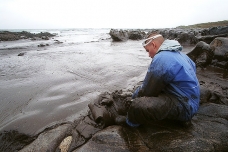 Oil spill in the Galicia coastline, Spain
