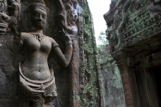 The Angkor temples, Cambodia